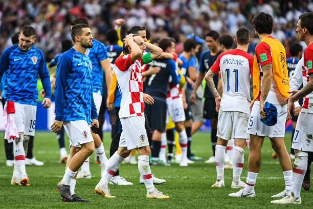 帕尔默用他 帕尔默用他